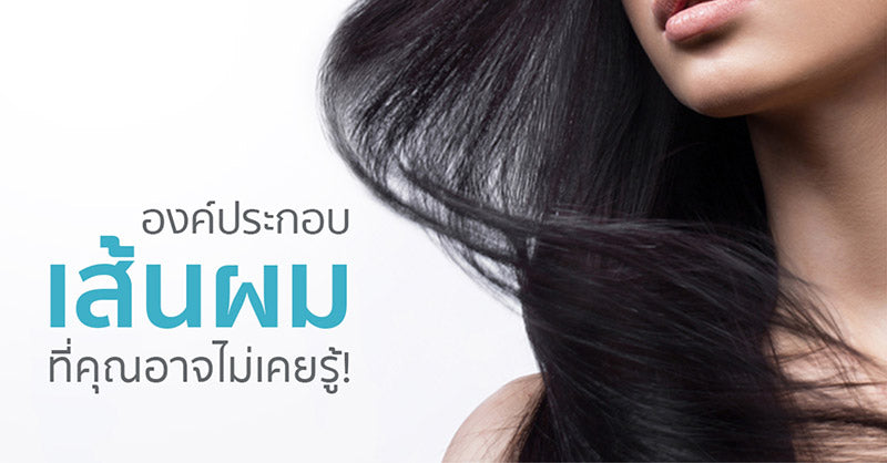 องค์ประกอบเส้นผมที่คุณอาจไม่เคยรู้!