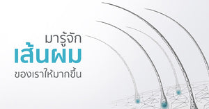 มารู้จักกับเส้นผมของเราให้มากขึ้น