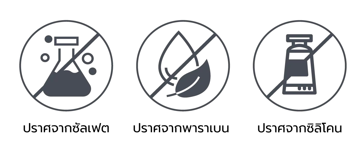 Translation missing: th.TH-iCon.webp